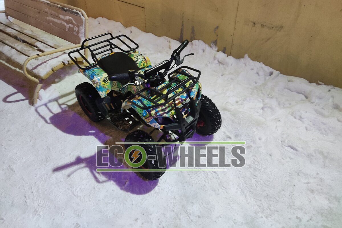 Квадроцикл Motax Grizlik ATV X-16 1000W Big Wheel купить в Спб