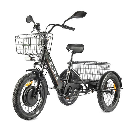 Электровелосипед GREEN CITY e-ALFA Trike