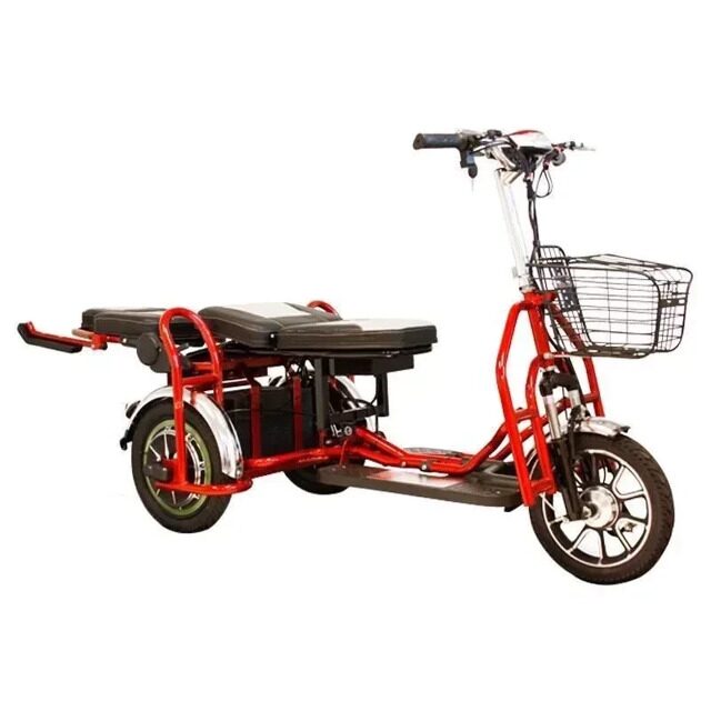 Электротрицикл Elbike Адъютант Double