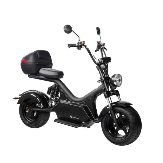 Электро скутер Skyboard Baikal BR50 3000W